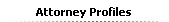 Attorney Profiles