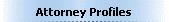 Attorney Profiles